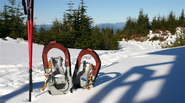 Découvrez le Bois Robert à pied, à ski de fond ou en raquette 