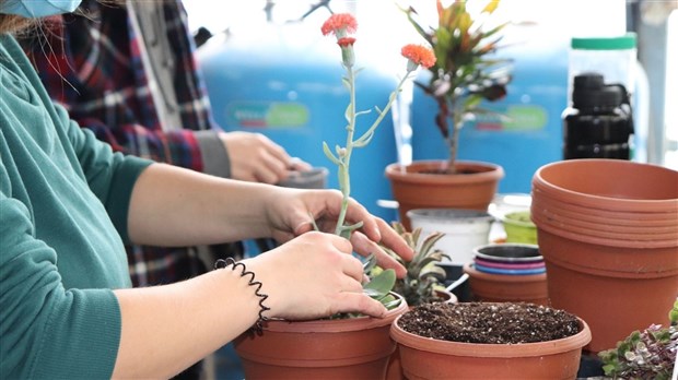 Vente de plantes et portes ouvertes