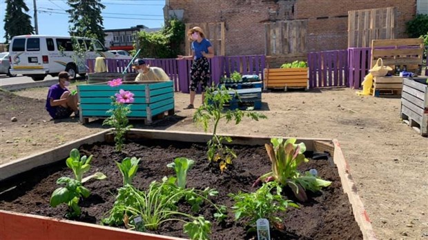 Le PRAQ accueil les idées des citoyens désirant faire fleurir un projet