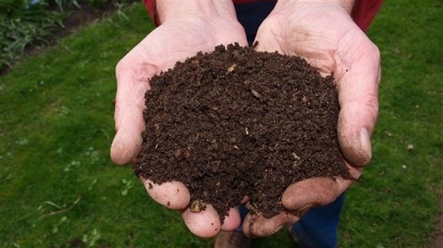Distribution gratuite de compost à Saint-Urbain-Premier
