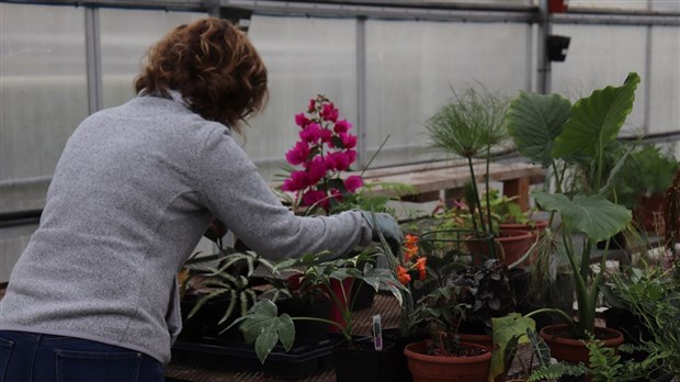 Vente de plantes au Centre de formation professionnelle des Moissons