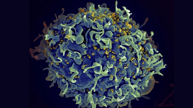 Les changements climatiques pourraient augmenter le risque de nouvelles infections