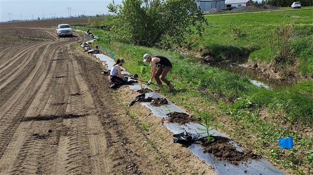 L'organisme de bassins versants Scabric aide les agriculteurs vers un tournant plus vert