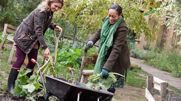 Une rencontre d'information sur les jardins collectifs de Salaberry-de-Valleyfield