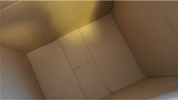 Une collecte de carton prévue en juillet à Saint-Urbain-Premier 