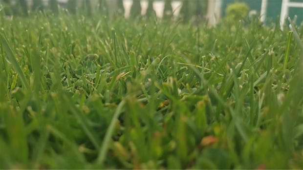 Pesticides: appel à la vigilance dans le choix de votre entrepreneur