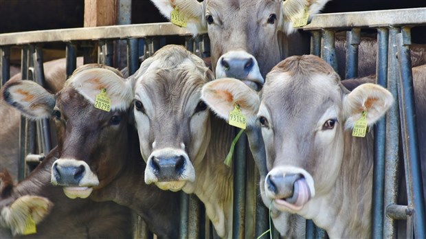 Produis ton avenir : Séjour exploratoire en agriculture
