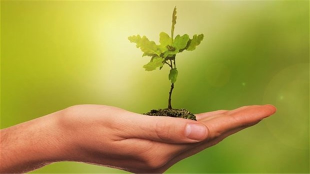 1 000 arbres d'essences variés distribués aux citoyens de Saint-Urbain-Premier 
