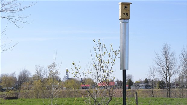 24 nichoirs installés à Saint-Urbain-Premier 