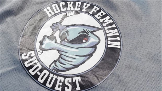 Hockey mineur: fusion pour l'Association de Hockey Mineur Valleyfield 