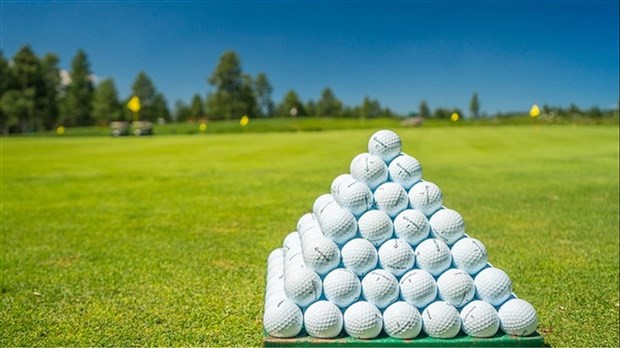 Le tirage golf « Un élan pour la faim!  de Moisson Sud-Ouest est de retour 