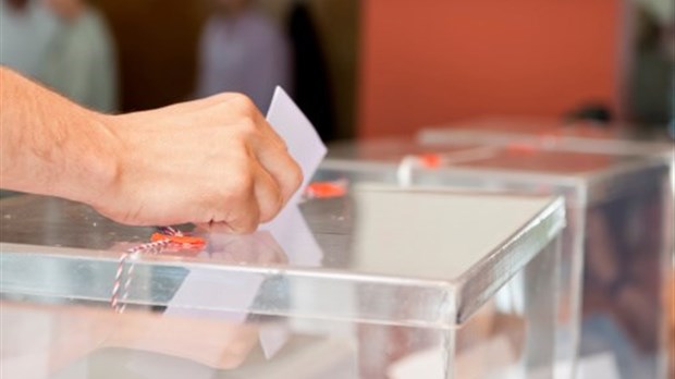 Contre toute attente, vous prévoyez de vous rendre massivement aux urnes !