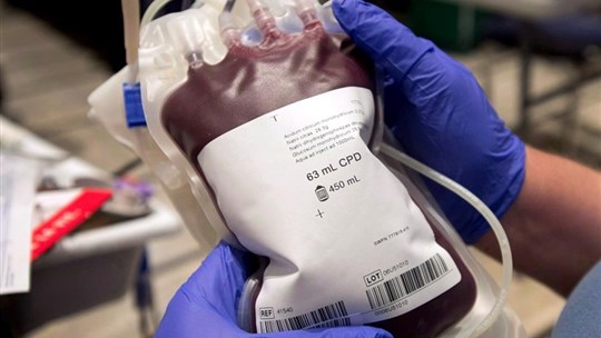 Dons de sang plus inclusifs: Santé Canada approuve la demande d'Héma-Québec
