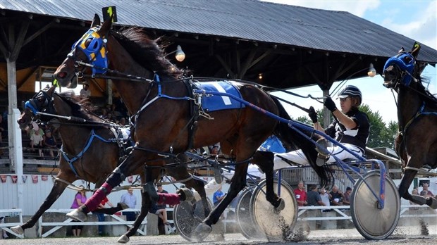 Des courses de chevaux prévues ce samedi à Ormstown 