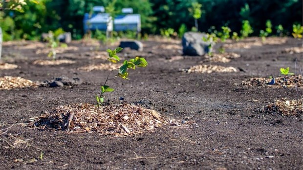 La biodiversité à l'honneur cette semaine à Salaberry-de-Valleyfield 