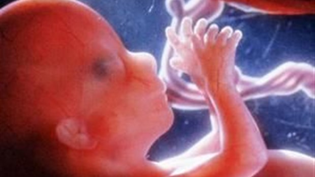 Les Prematures De 32 Semaines Seront Soignes A Chicoutimi Saguenay Lac St Jean Neomedia