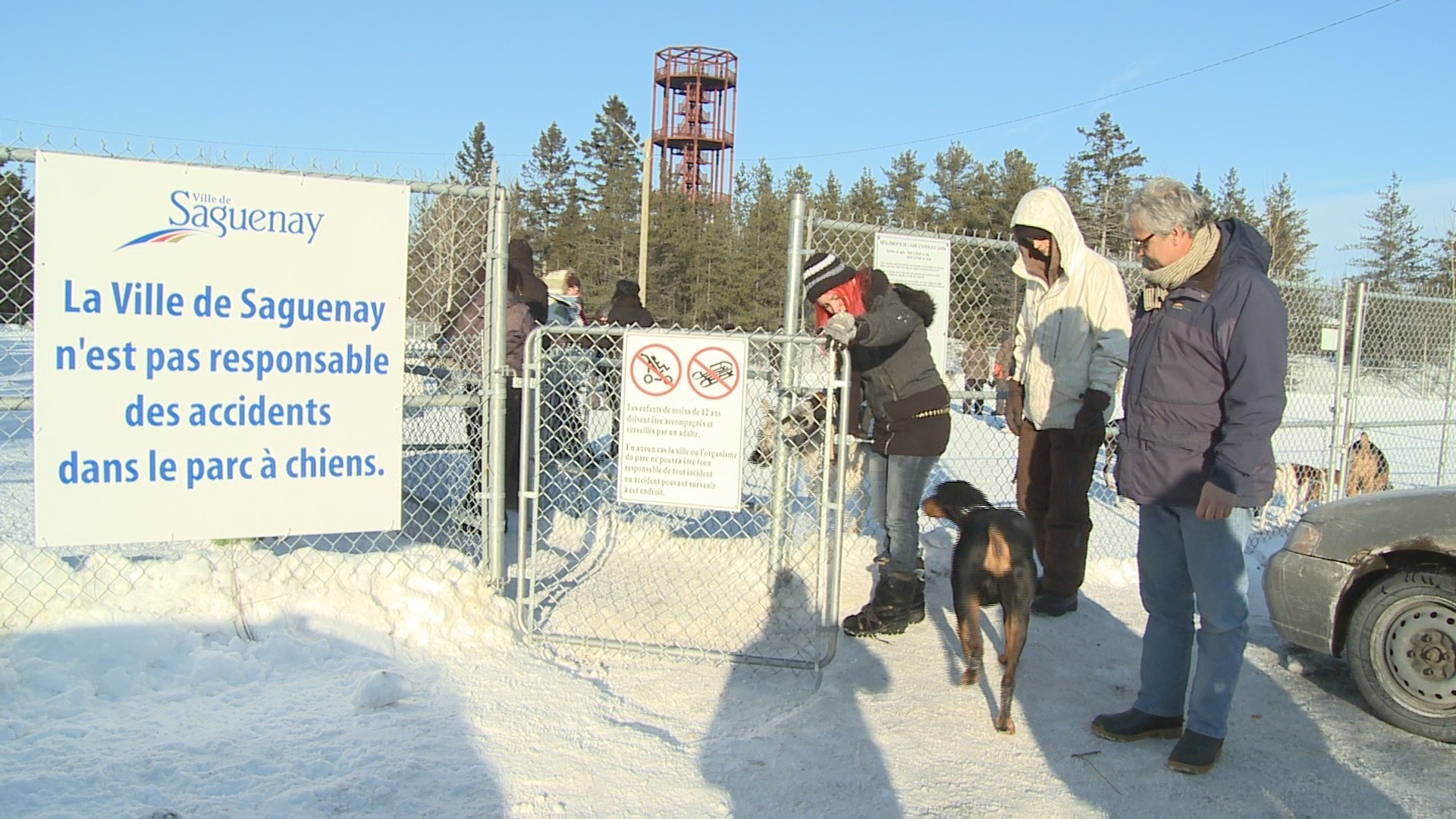 Nouveauté au parc à chiens de Saguenay SaguenayLacStJean Néomedia